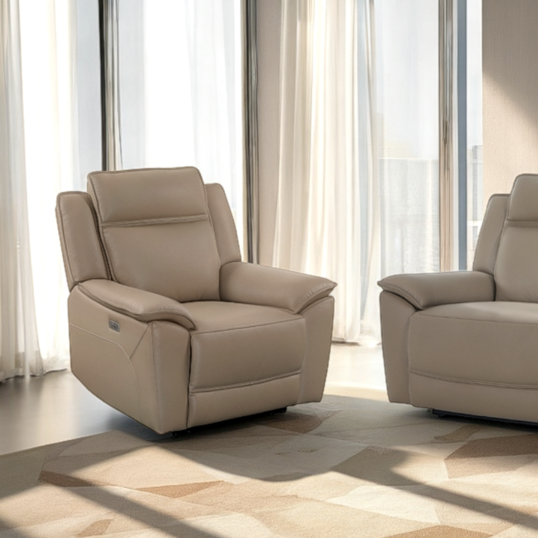 Leather Chairs