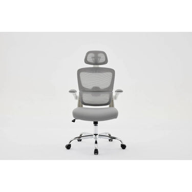 Posture Plus Office Chair