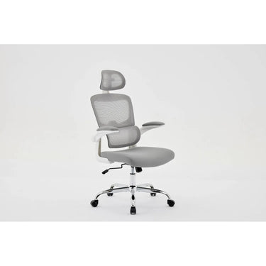 Posture Plus Office Chair