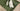 Close-up of Penny 3 Seater Fabric Sofa in green with two decorative cushions on a beige carpet background
