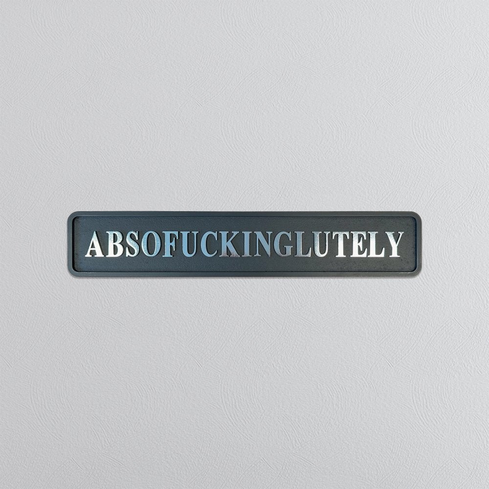 Absof***inglutely Street Sign - Black & Silver