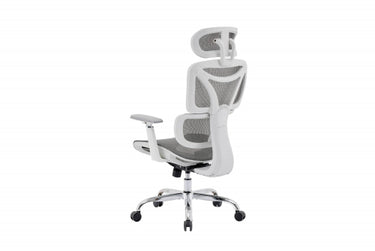 Posture Pro Office Chair