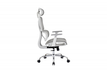Posture Pro Office Chair