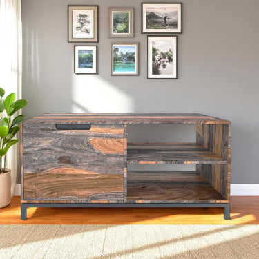 Kochi Sheesham Wood Coffee Table / TV Unit - view 4