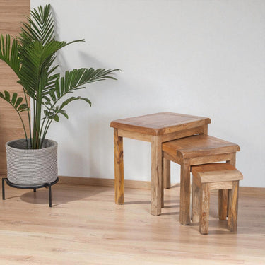 Orwell Mango Wood Nest of Tables - view 4